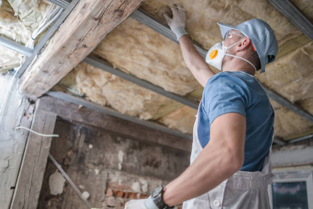 Best Insulation Inspection Services  in Bayshore, NC